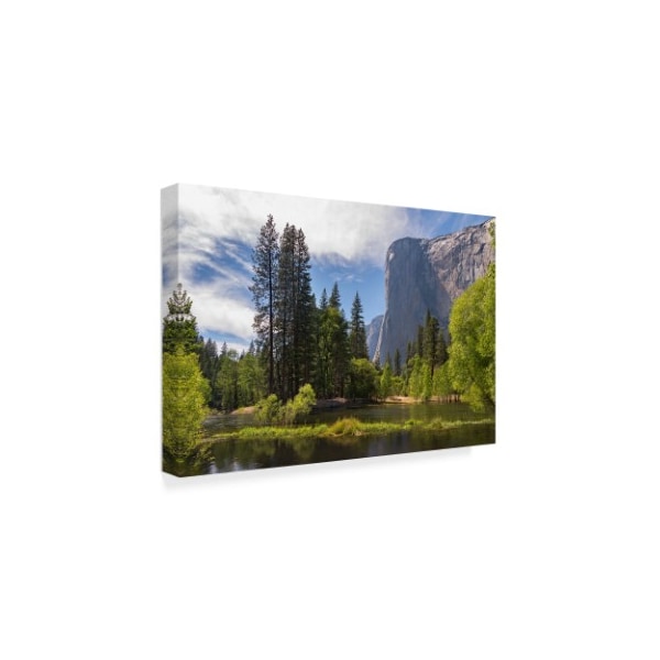 Adam Burton 'El Capitan' Canvas Art,12x19